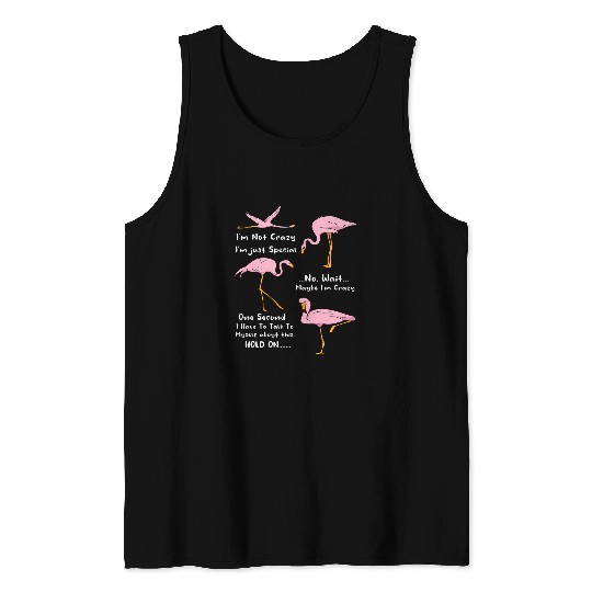 Flamingo Pet Im Not crazys Im Just Special Funny Mothers Day Tank Tops