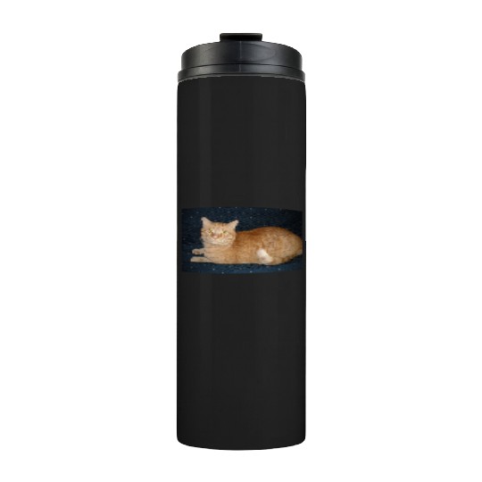 Relaxed Orange Tabby Cat Illustration Thermal Tumblers
