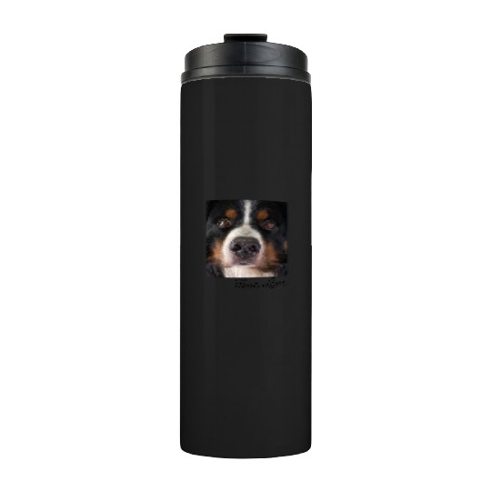 Bernese Mountain Dog Thermal Tumblers