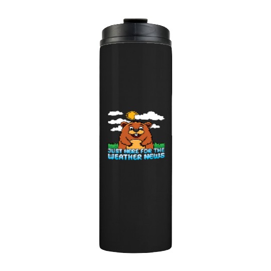 Just Here For The Weather News Happy Groundhog Day Thermal Tumblers