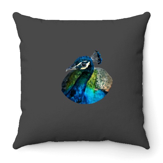 Disney-Up Shirt, Kevin Up Shirt, Up Balloon Shirt, Disney-Balloon Throw Pillows