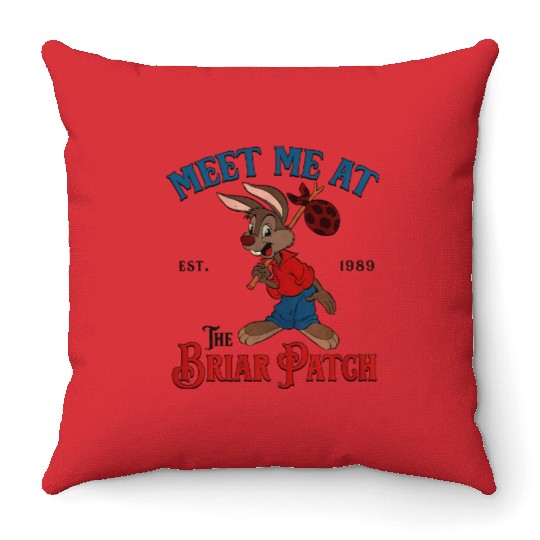 Disney Splash Mountain Vintage Throw Pillows, Meet Me At The Briar Patch Throw Pillows