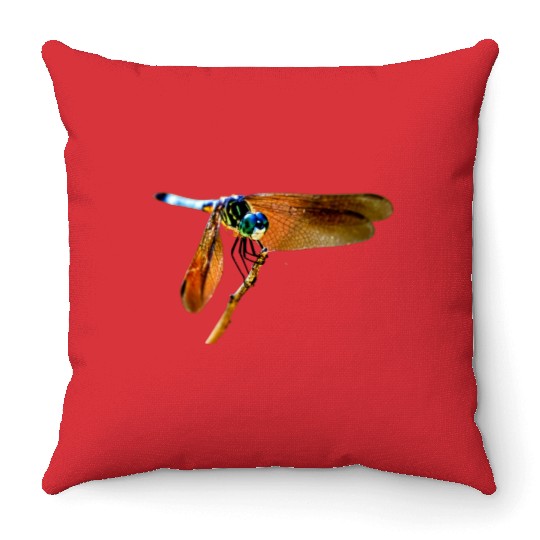 Colorful dragonfly on a branch Throw Pillows