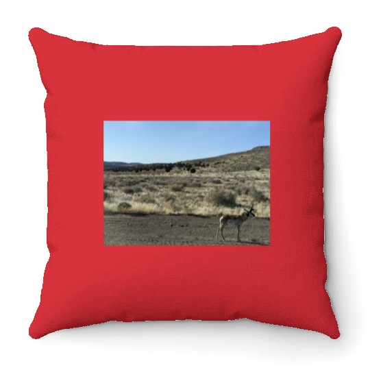 Antelope near Grand Canyon West Throw Pillows