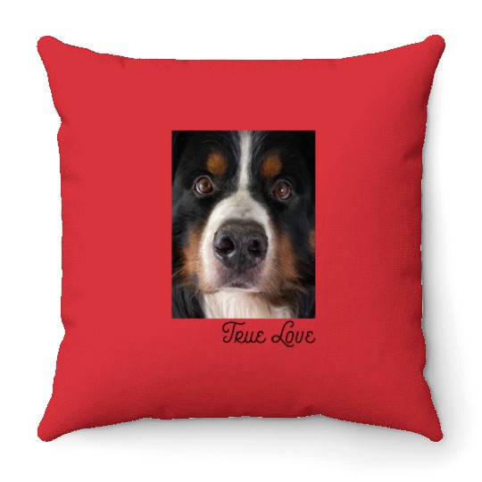 Bernese Mountain Dog Throw Pillows