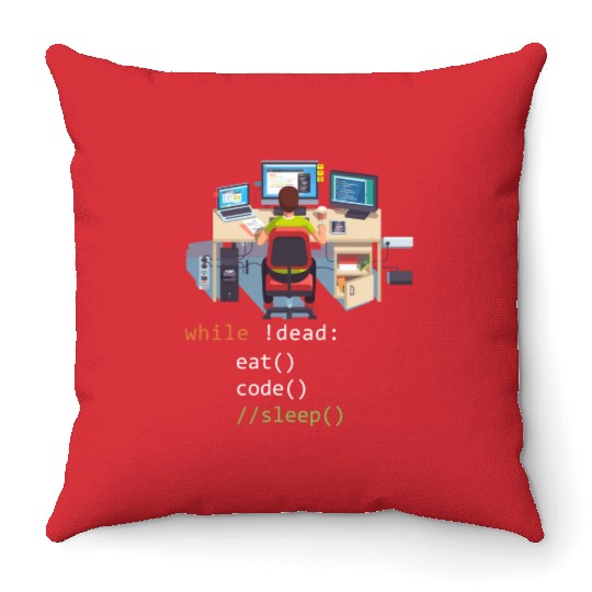 Computer Science Python Programmer Eat Code Sleep Throw Pillows