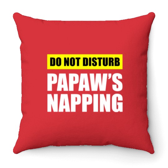 Do Not Disturb Papaw'S Napg Throw Pillows