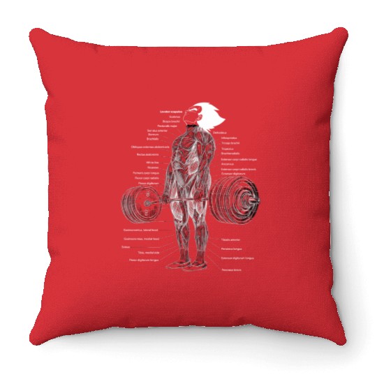Anime Muscle Anatomy Ch Gym And Workout Motivation Throw Pillows