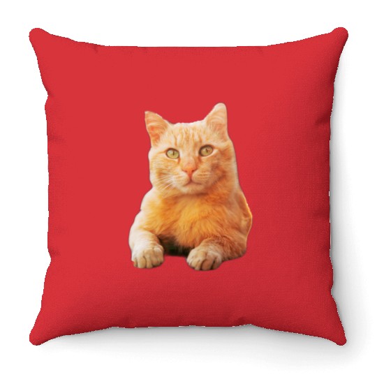 Orange Cat Throw Pillows