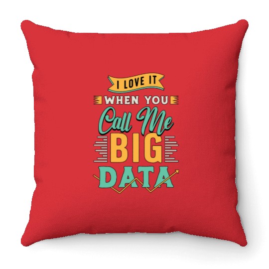 Data Mining I Love It When You Call Me Programmer Throw Pillows