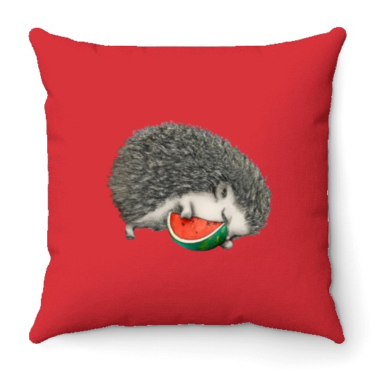 Hedgehog Sleeping With Watermelon Throw Pillows