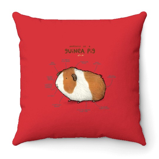 Anatomy of a Guinea Pig Throw Pillows