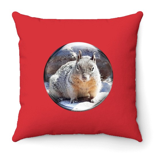 Life In a Bubble Collection- Grand Canyon Squirrel Throw Pillows