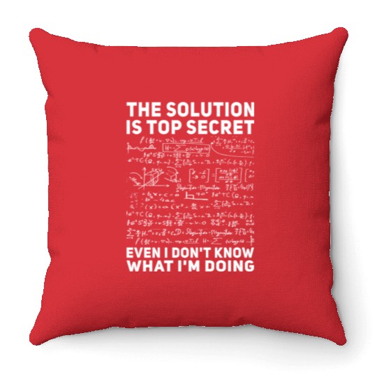 Funny Math Teacher Mathematician Throw Pillows