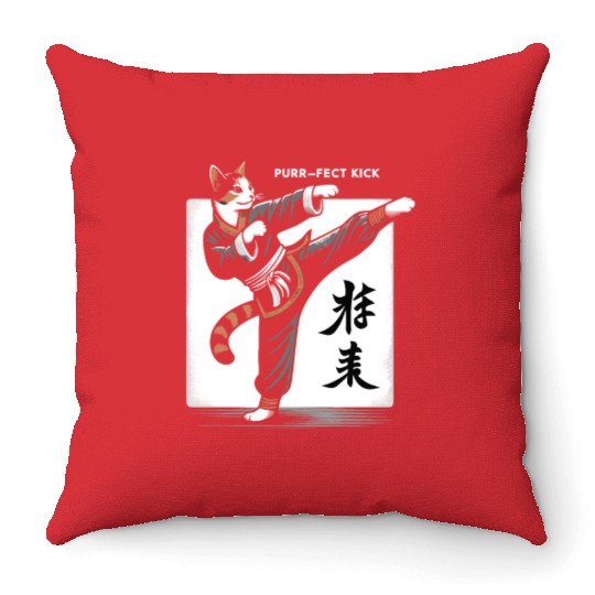 Kung Fu Chinese Kung Fu Asian Kung Fu Self defense Throw Pillows