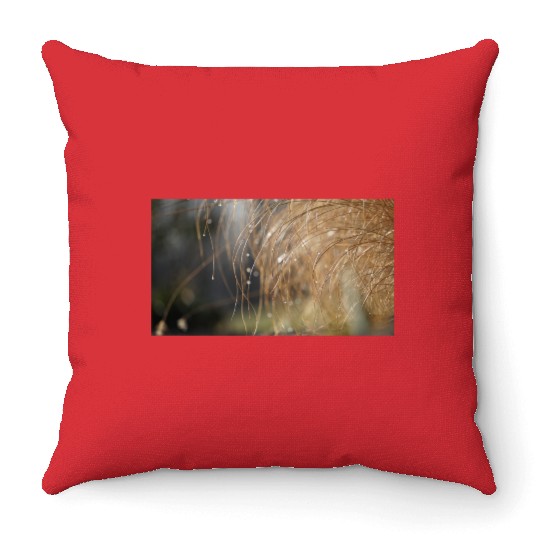 Tiny Dew Drops on Delicate Golden Grass Throw Pillows