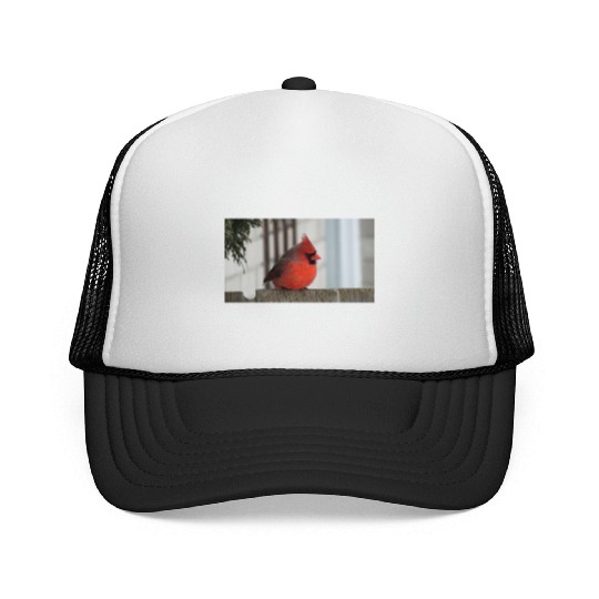Brilliant Cardinal Bird 2 Trucker Caps
