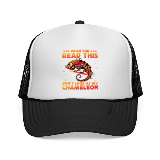 When you read this don't look at my Chameleon Trucker Caps
