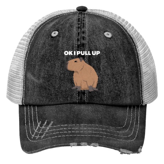 Ok I Pull Up Capybara Funny Meme Capybara Lover Trucker Hats