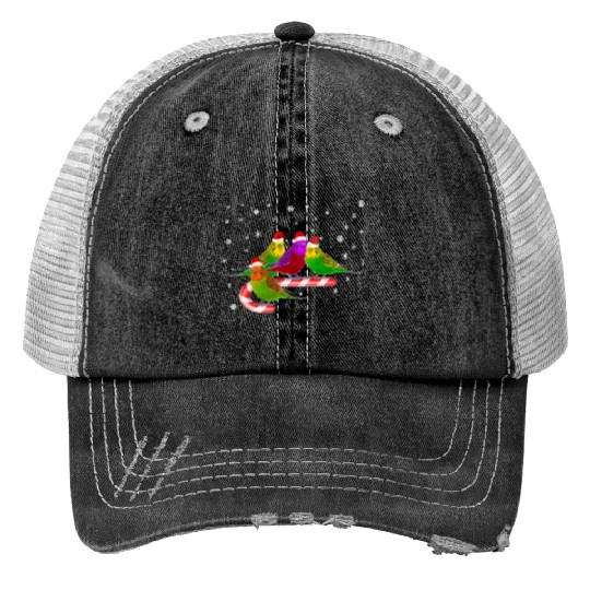 Santa Claus Budgies on Christmas Candy Cane Trucker Hats