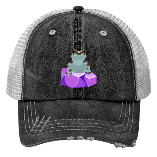 Frog Crystal Amethyst Gemstone For Toad Owners Trucker Hats