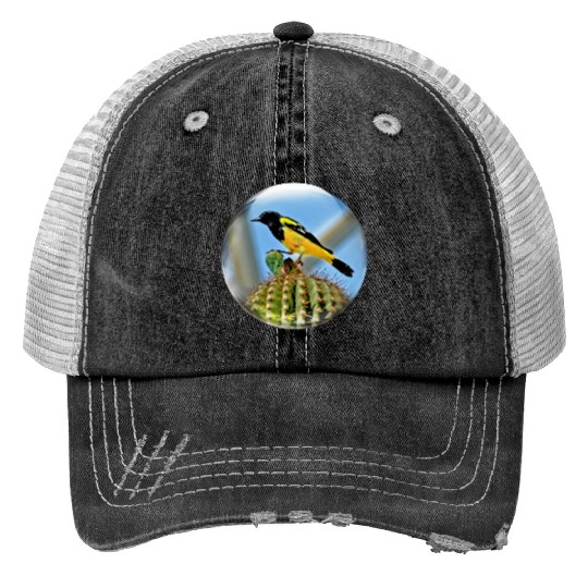 Life In a Bubble Collection-Domed Bird in Glass Trucker Hats