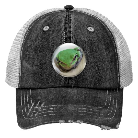 Life In a Bubble Collection - Frog Eyes Looking 4U Trucker Hats