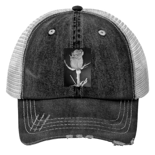 Realistic Graphite Rose & Dew Drawing - RT Art © Trucker Hats