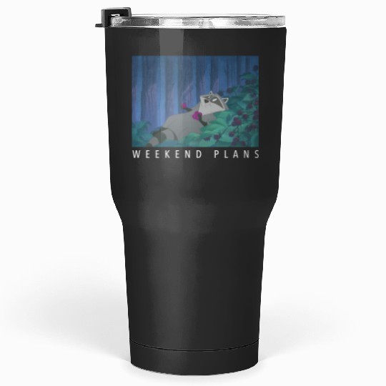 Disney Pocahontas Meeko Weekend Plans 9904 Tumblers 30 oz