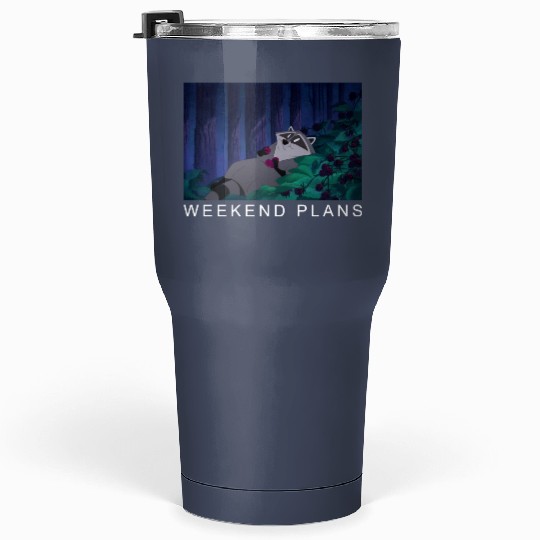 Disney Pocahontas Meeko Raccoon Weekend Plans Tumblers 30 Oz