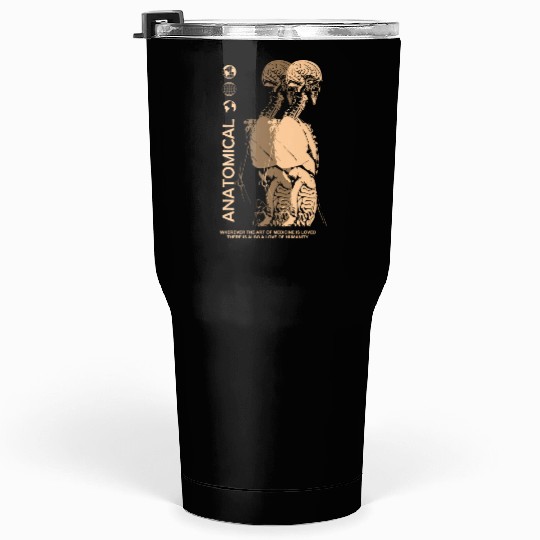 Anatomical Streetwear Tumblers 30 Oz
