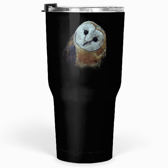 Barn Owl Painting Owl Tumblers 30 Oz