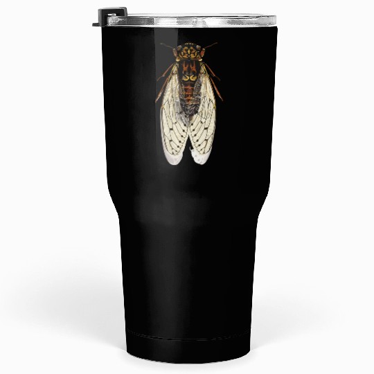 cicada Tumblers 30 Oz