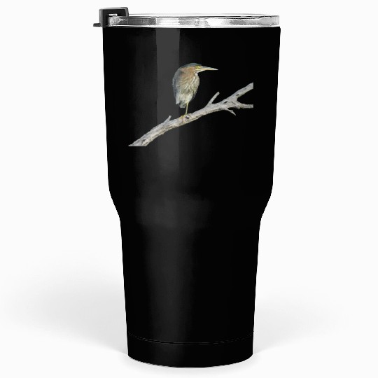 Green Heron Tumblers 30 Oz