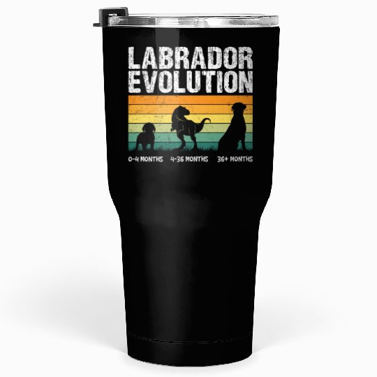 Labrador EVOLUTION Labrador Lovers Funny Tumblers 30 Oz