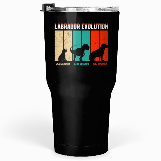 Labrador EVOLUTION Labrador Lovers Funny Tumblers 30 Oz