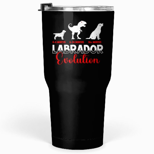 Labrador EVOLUTION Labrador Lovers Funny Tumblers 30 Oz