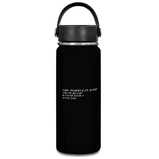 Cat in My Lap Book Catnap The Purrfect Day Vacuum Flask