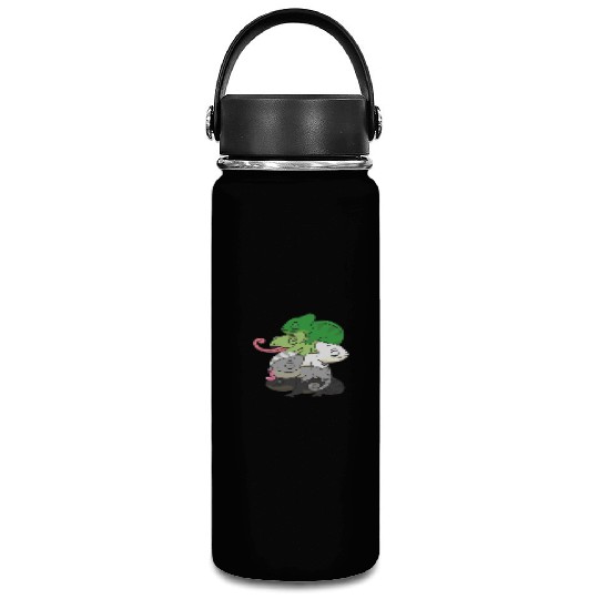 Aromantic Flag Pride Lgbtq Cute Chameleon Pile Vacuum Flask