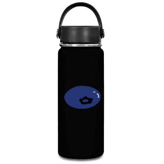 blueberry fruit Vacuum Flask