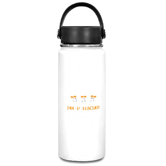 You Don't Scare Me I'm a Pre K Teacher Vacuum Flask
