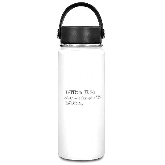 Mike D and Ad-Rock and MCA Vacuum Flask