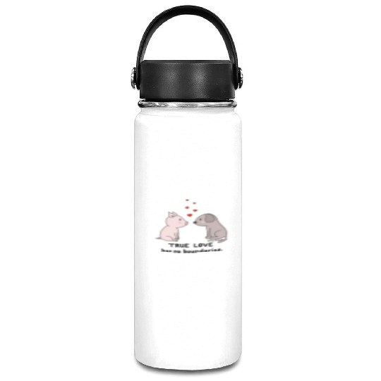 True Love has No Boundaries Vacuum Flask