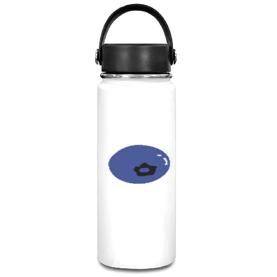 blueberry fruit Vacuum Flask