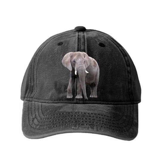 Elephant Washed Denim Baseball Caps