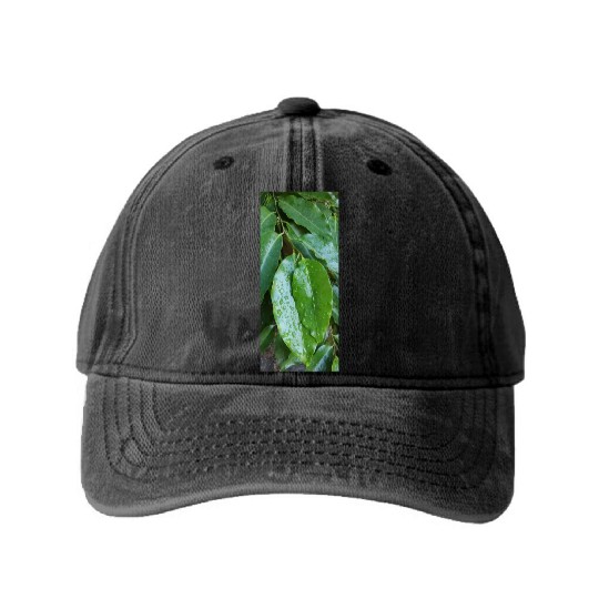 beautiful green plant in the garden Washed Denim Baseball Caps