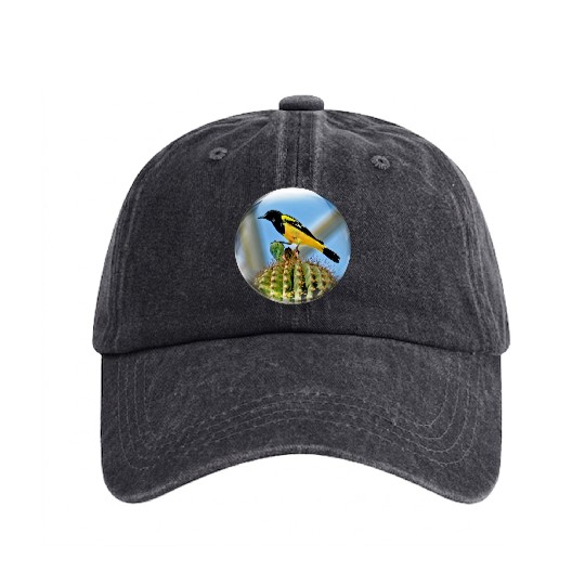 Life In a Bubble Collection-Domed Bird in Glass Washed Denim Baseball Caps
