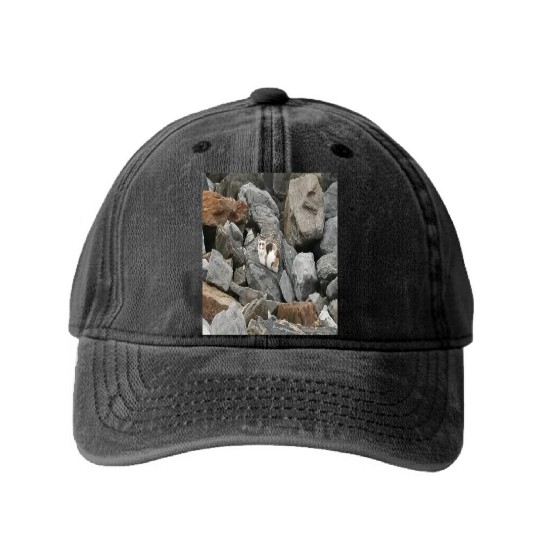 Camouflage Cat On Rocks Gifts for Animal Lovers Washed Denim Baseball Caps