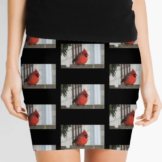 Brilliant Cardinal Bird 2 Women's Mini Skirts