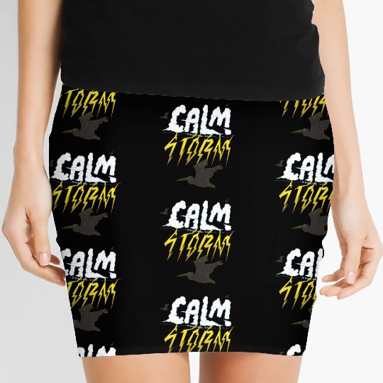 Calm Before the Storm Stickers Women's Mini Skirts